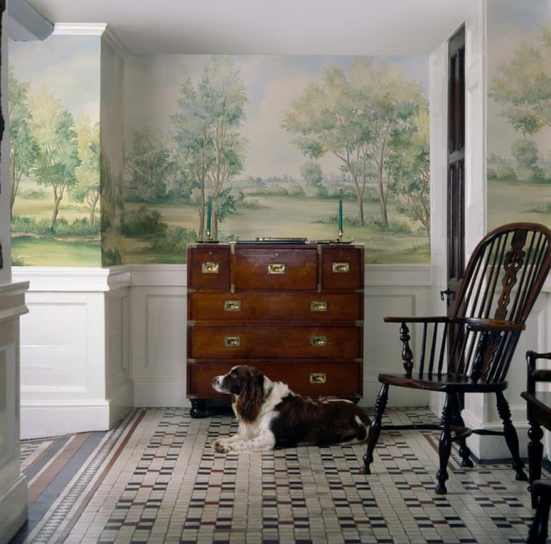 Hallway with resting dog and scenic mural wallpaper painted of the Cotswolds