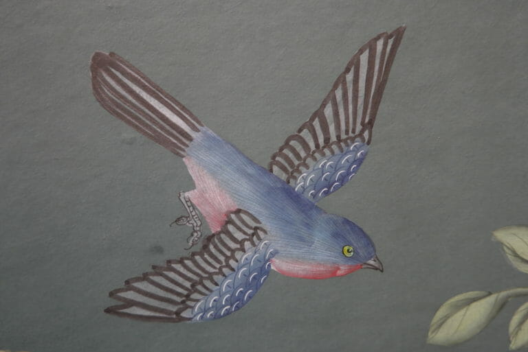 Hand-painted Chinoiserie bird on wallpaper