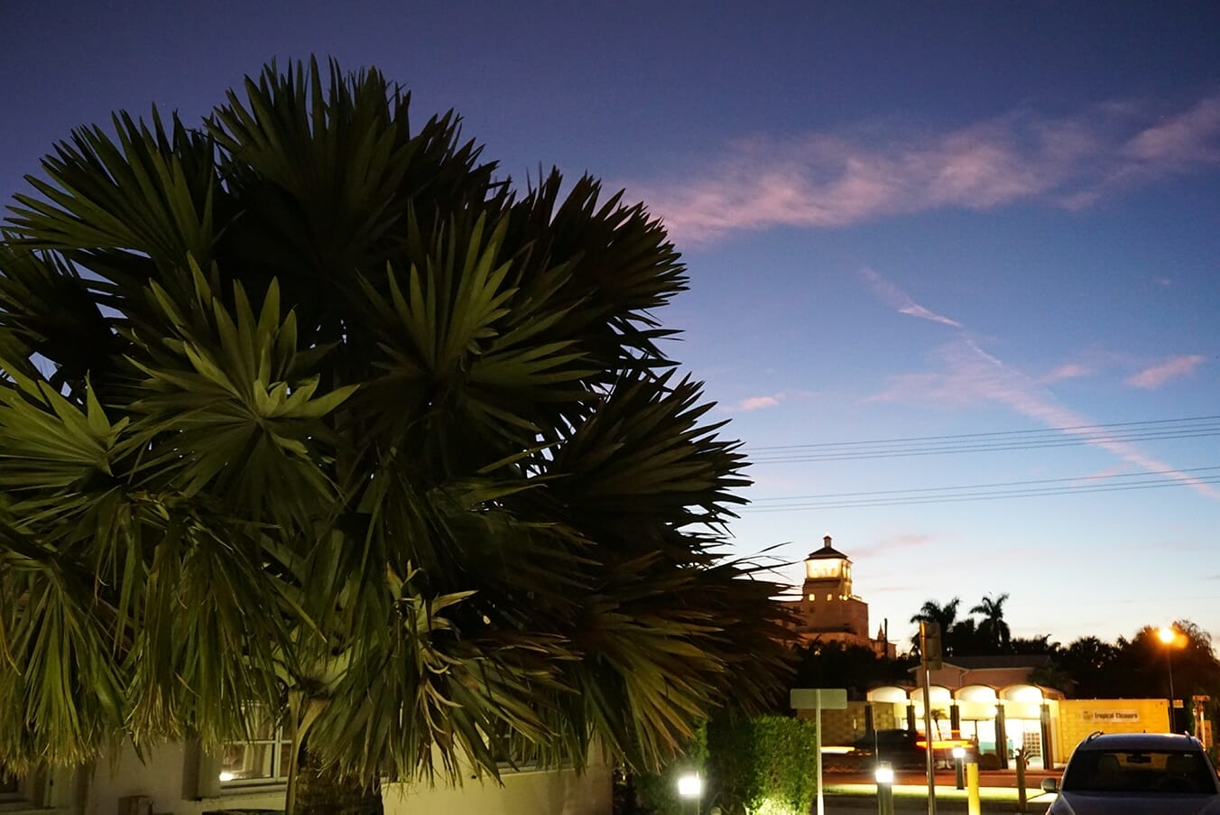 Evening Scene in Palm Beach